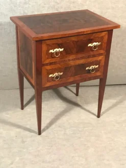 Pamono Small Neoclassical Chest of Drawers, 19th Century New