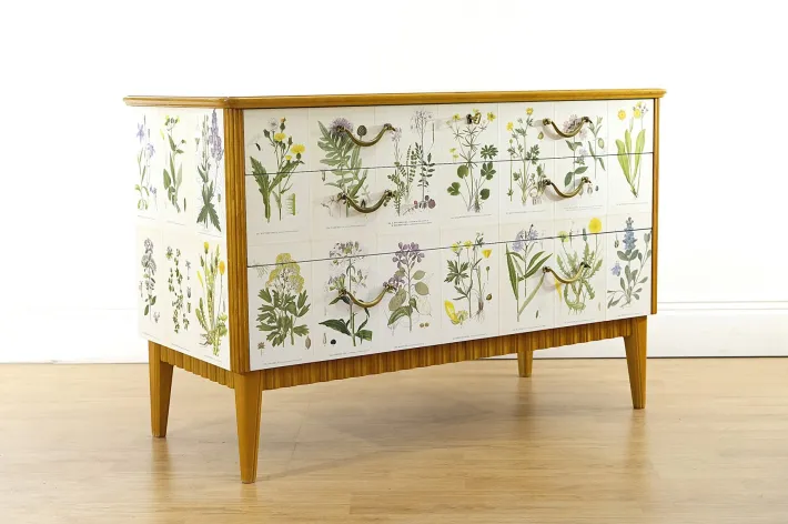 Pamono Swedish Modern Dresser with Nordens Flora Illustrations by C. A. M. Lindman, 1930s Discount