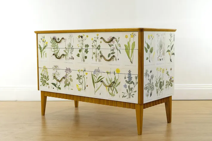 Pamono Swedish Modern Dresser with Nordens Flora Illustrations by C. A. M. Lindman, 1930s Discount