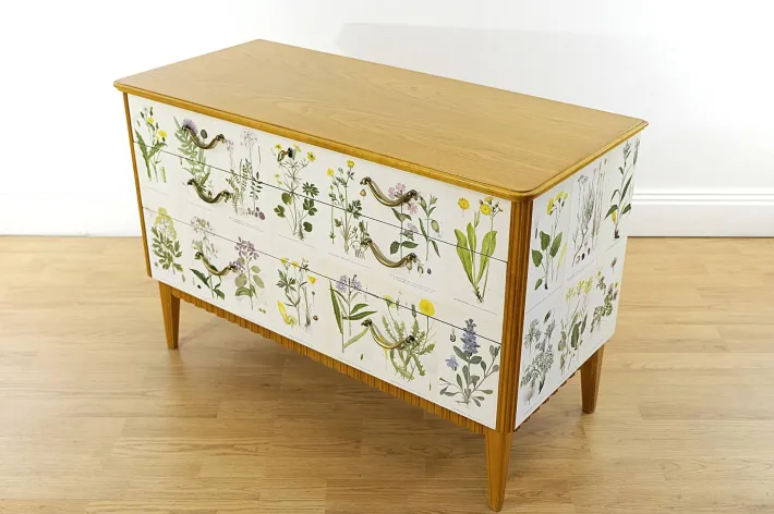 Pamono Swedish Modern Dresser with Nordens Flora Illustrations by C. A. M. Lindman, 1930s Discount