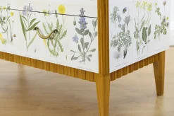 Pamono Swedish Modern Dresser with Nordens Flora Illustrations by C. A. M. Lindman, 1930s Discount