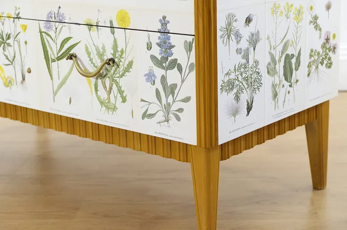 Pamono Swedish Modern Dresser with Nordens Flora Illustrations by C. A. M. Lindman, 1930s Discount