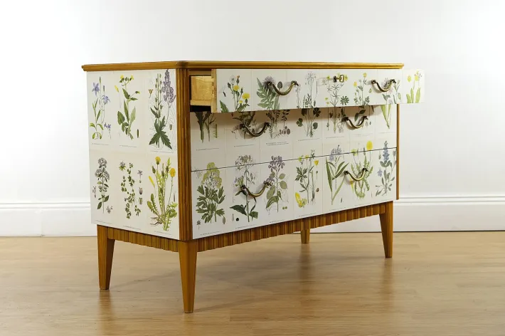 Pamono Swedish Modern Dresser with Nordens Flora Illustrations by C. A. M. Lindman, 1930s Discount