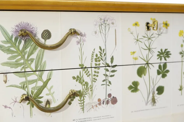 Pamono Swedish Modern Dresser with Nordens Flora Illustrations by C. A. M. Lindman, 1930s Discount