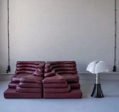 Pamono Terrazza Landscapes in Burgundy Leather by Ubald Klug for de Sede, 1970s, Set of 4 Outlet