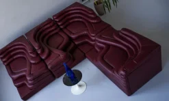 Pamono Terrazza Landscapes in Burgundy Leather by Ubald Klug for de Sede, 1970s, Set of 4 Outlet
