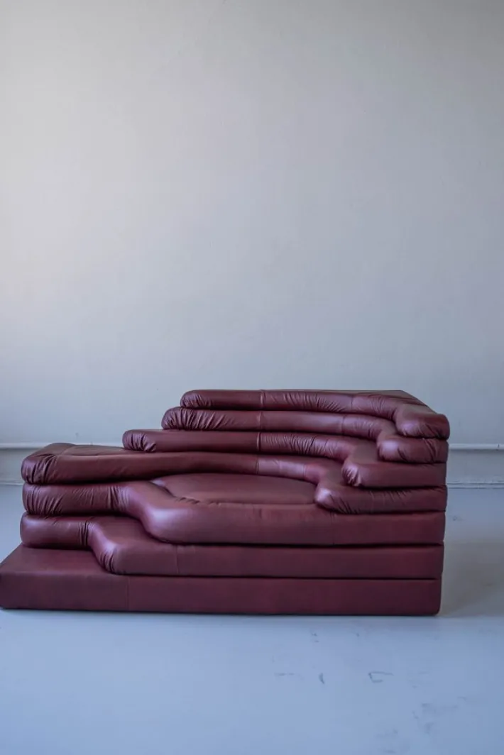 Pamono Terrazza Landscapes in Burgundy Leather by Ubald Klug for de Sede, 1970s, Set of 4 Outlet