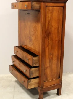 Pamono 19th Century Empire Secretaire in Walnut Hot