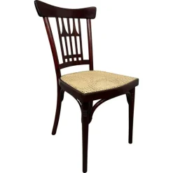 Pamono Vienna Secession Dining Chair by Otto Wagner for J&J Kohn, 1890s