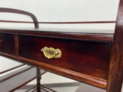 Pamono Vienna Secession Etagere attributed to Koloman Moser and Otto Wagner for Fischel, 1890s Online