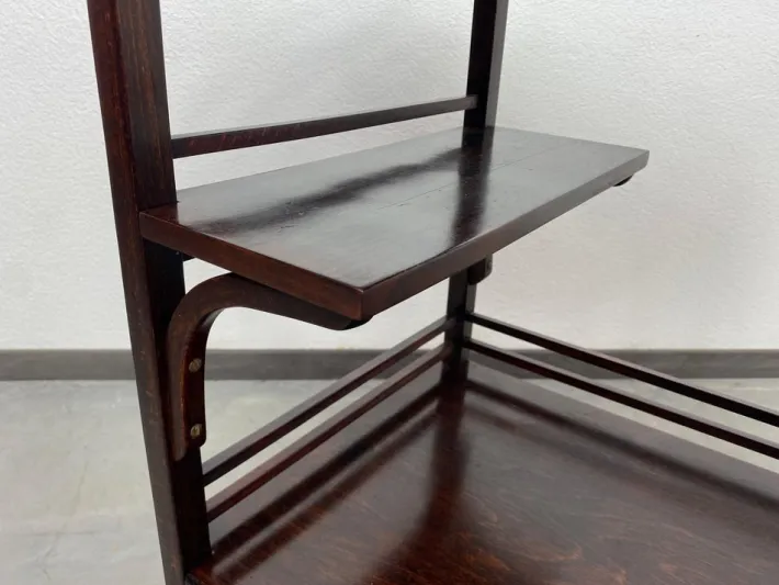 Pamono Vienna Secession Etagere attributed to Koloman Moser and Otto Wagner for Fischel, 1890s Online