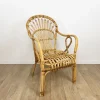 Pamono Vintage Bamboo and Rattan Armchair, 1950s Best