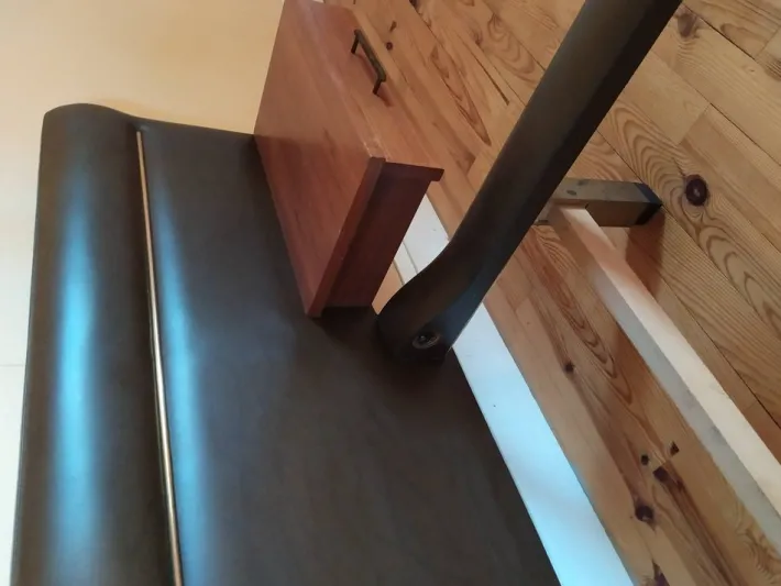 Pamono Vintage Bed in Teak & Skai by Roger Landault, 1960s Best