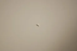 Pamono Vintage Children's School Desks, 1960s, Set of 3 Hot