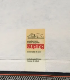 Pamono Vintage Daybed from Auping, 1960s