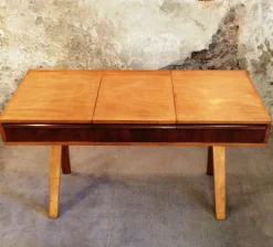 Pamono Vintage Desk by Cees Braakman for Pastoe, 1950s