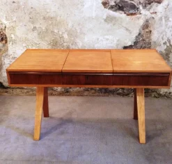 Pamono Vintage Desk by Cees Braakman for Pastoe, 1950s