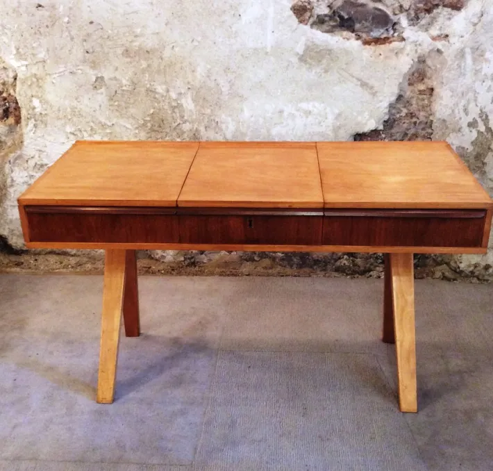 Pamono Vintage Desk by Cees Braakman for Pastoe, 1950s