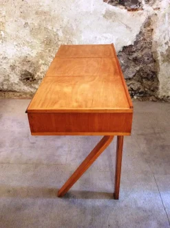 Pamono Vintage Desk by Cees Braakman for Pastoe, 1950s