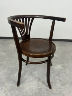 Pamono Vintage Dining Chairs from Thonet, 1920s, Set of 4 Online