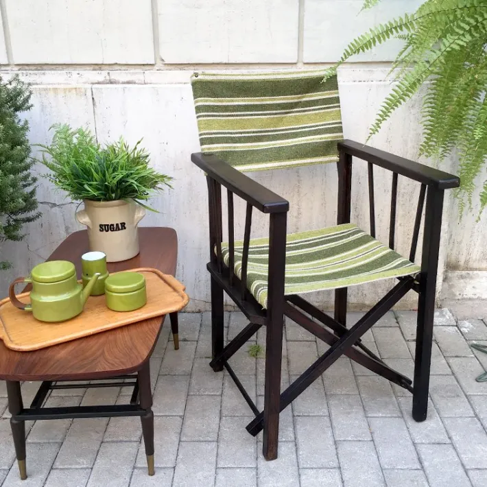 Pamono Vintage Directors Chair with New Coating, Italy, 1950s