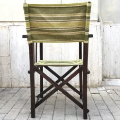 Pamono Vintage Directors Chair with New Coating, Italy, 1950s