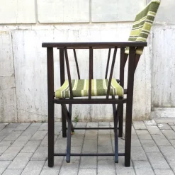 Pamono Vintage Directors Chair with New Coating, Italy, 1950s