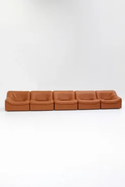 Pamono Vintage DS46 Modular Leather Sofa from De Sede, 1970s, Set of 5 Hot