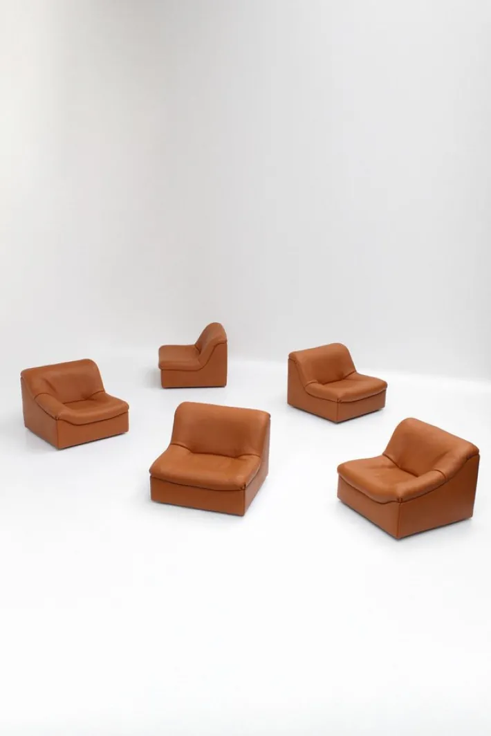 Pamono Vintage DS46 Modular Leather Sofa from De Sede, 1970s, Set of 5 Hot