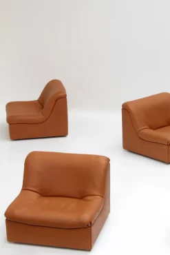 Pamono Vintage DS46 Modular Leather Sofa from De Sede, 1970s, Set of 5 Hot