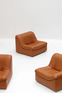 Pamono Vintage DS46 Modular Leather Sofa from De Sede, 1970s, Set of 5 Hot