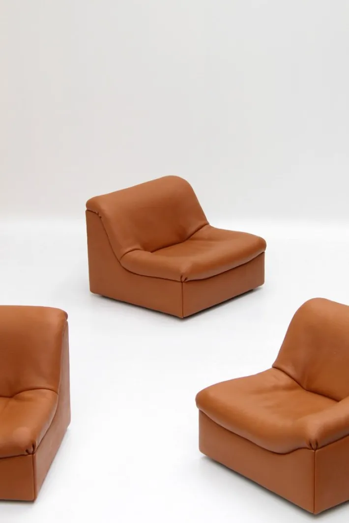 Pamono Vintage DS46 Modular Leather Sofa from De Sede, 1970s, Set of 5 Hot