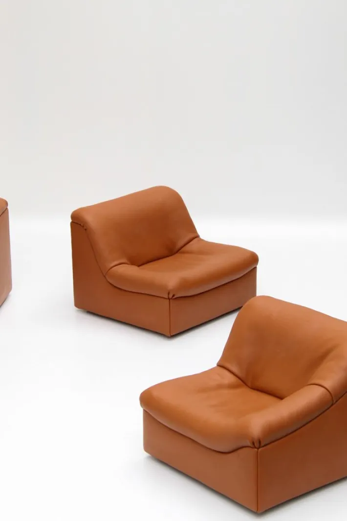 Pamono Vintage DS46 Modular Leather Sofa from De Sede, 1970s, Set of 5 Hot