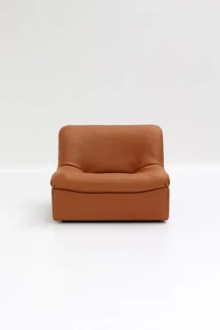 Pamono Vintage DS46 Modular Leather Sofa from De Sede, 1970s, Set of 5 Hot