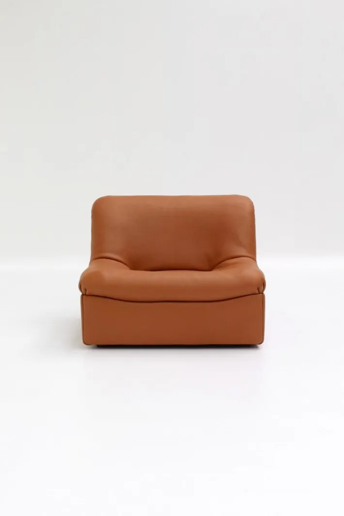 Pamono Vintage DS46 Modular Leather Sofa from De Sede, 1970s, Set of 5 Hot