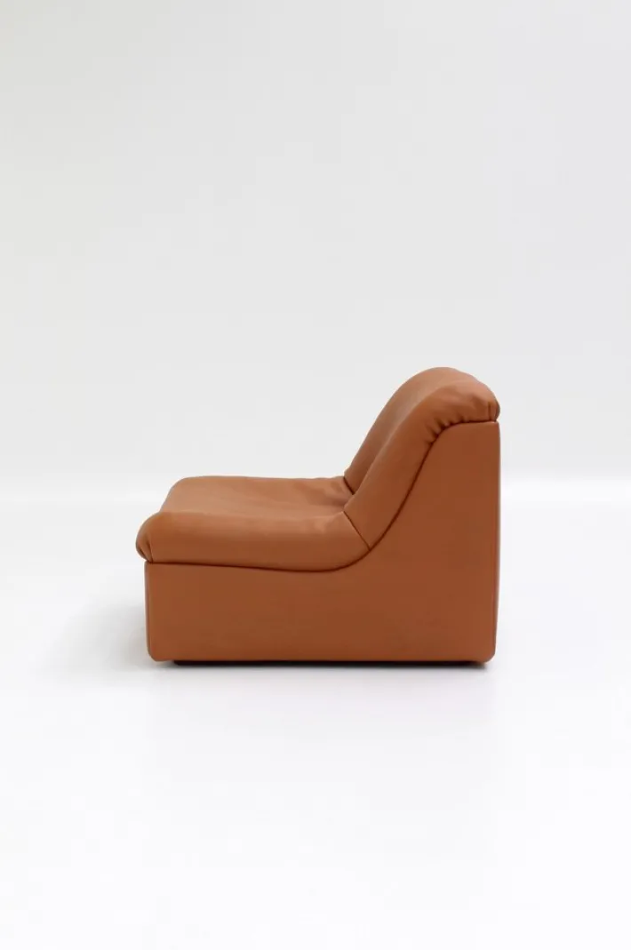 Pamono Vintage DS46 Modular Leather Sofa from De Sede, 1970s, Set of 5 Hot