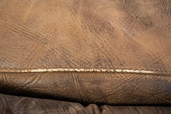 Pamono Vintage Erasmo Sofa by Tobia & Afra Scarpa for B&B Italia, 1974 Sale