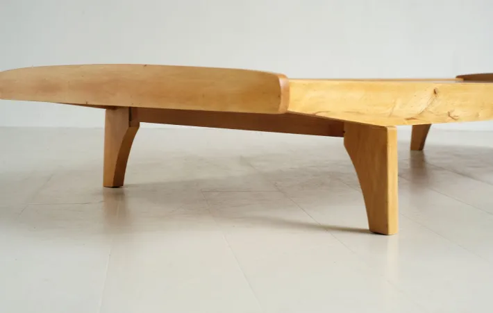 Pamono Vintage French Daybed, 1950 New