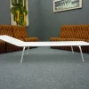 Pamono Vintage Garden Lounger attributed to Erlauer Drahtwerke, 1950s Hot