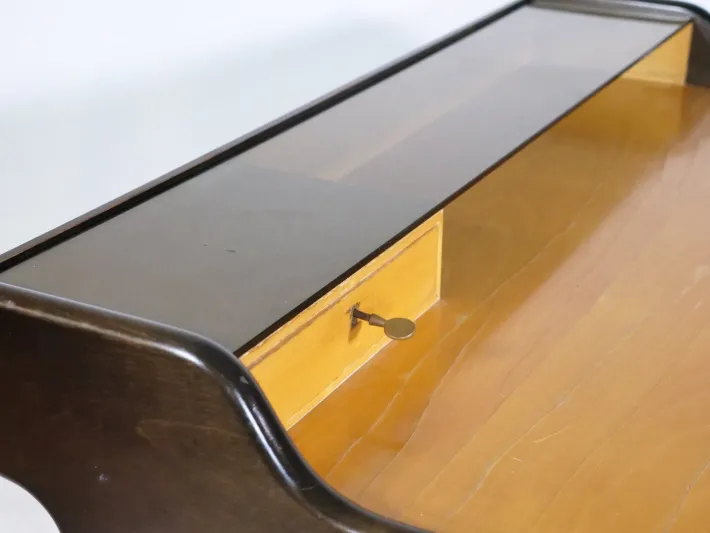 Pamono Vintage Ladies Desk by Reinhold Stotz, 1955