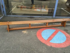 Pamono Vintage Mahogany Gymnastics Bench, 1950s Discount