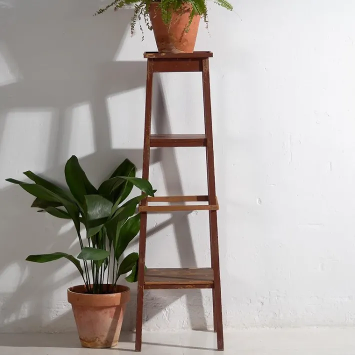 Pamono Vintage Plant Stand, 1920 Discount