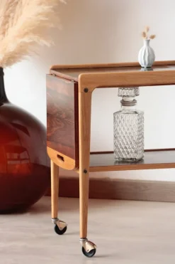 Pamono Vintage Scandinavian Rosewood Serving Trolley by Yngve Ekström, 1960s Best
