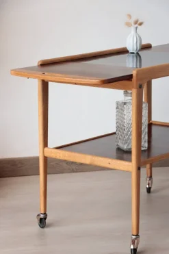 Pamono Vintage Scandinavian Rosewood Serving Trolley by Yngve Ekström, 1960s Best