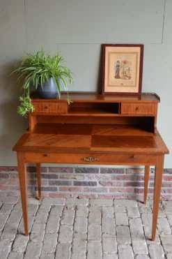 Pamono Walnut Wooden Writing Table New