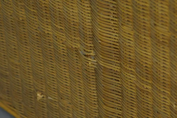 Pamono Wicker Bed by Adalberto Dal Lago, 1960s Clearance