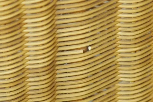 Pamono Wicker Bed by Adalberto Dal Lago, 1960s Clearance