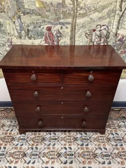 Pamono William IV Mahogany Chest of Drawers, 1800s Hot